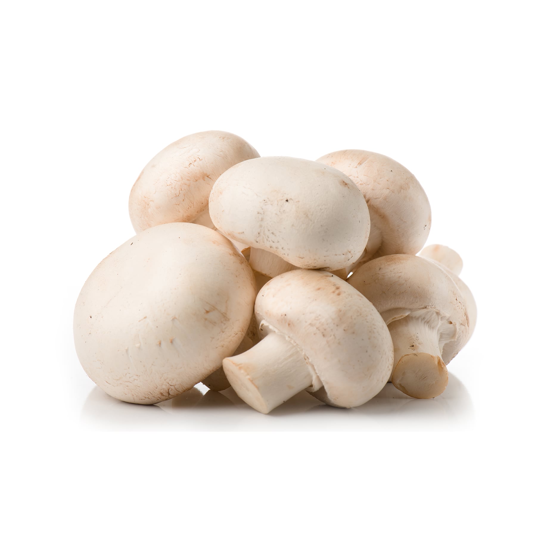 白色香菇干 库存照片. 图片 包括有 真菌, 蔬菜, 蘑菇, 日语, 烹调, 有机, 汉语, 健康, 食物 - 175538412